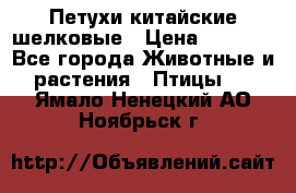 Петухи китайские шелковые › Цена ­ 1 000 - Все города Животные и растения » Птицы   . Ямало-Ненецкий АО,Ноябрьск г.